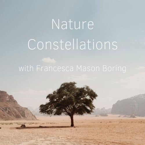 Nature Constellations with Francesca Mason-Boring