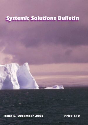 Cover of Systemic Solutions Bulletin with a purple seascape and iceberg; title at top, issue info at bottom (Issue 5, December 2004) and price £10